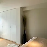 Apartment Heaven On 7 *